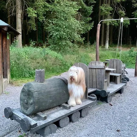 Апартаменты Gemuetliches Wohnstudio Im Wald, Auf Dem Rennsteig Naehe