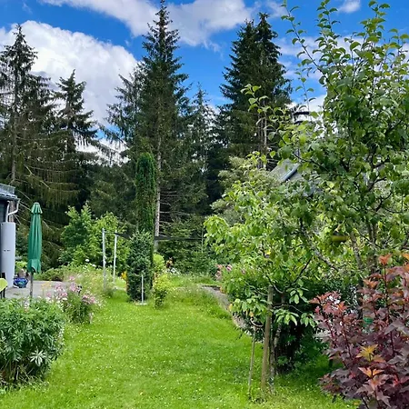 Modernes Wohnstudio Im Wald, Auf Dem Rennsteig Naehe * Ilmenau