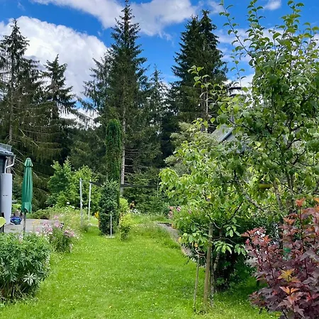 Gemuetliches Wohnstudio Im Wald, Auf Dem Rennsteig Naehe * Ilmenau