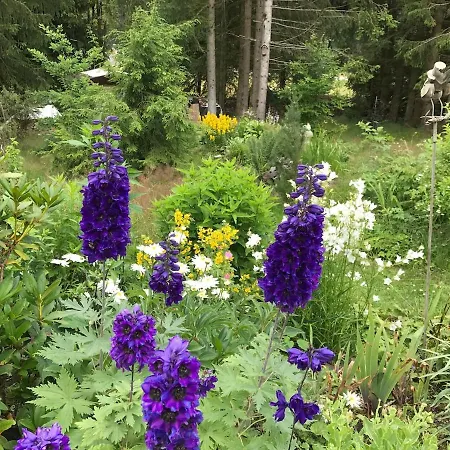 Gemuetliches Wohnstudio Im Wald, Auf Dem Rennsteig Naehe *