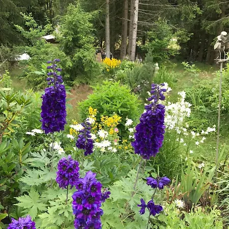 Modernes Wohnstudio Im Wald, Auf Dem Rennsteig Naehe *