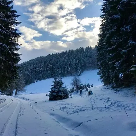 Gemuetliches Wohnstudio Im Wald, Auf Dem Rennsteig Naehe Apartament Ilmenau