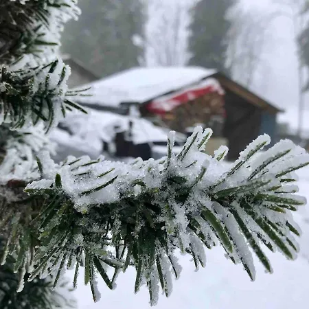 Modernes Wohnstudio Im Wald, Auf Dem Rennsteig Naehe