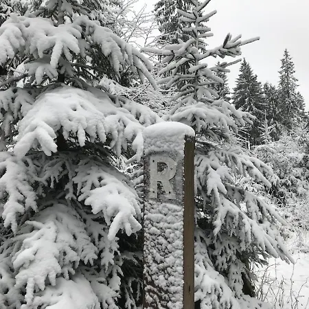 Gemuetliches Wohnstudio Im Wald, Auf Dem Rennsteig Naehe Апартаменты Ильменау