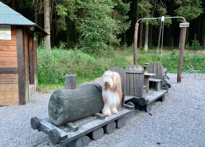 Apartment Gemütliches Wohnstudio Im Wald, Auf Dem Rennsteig Nähe