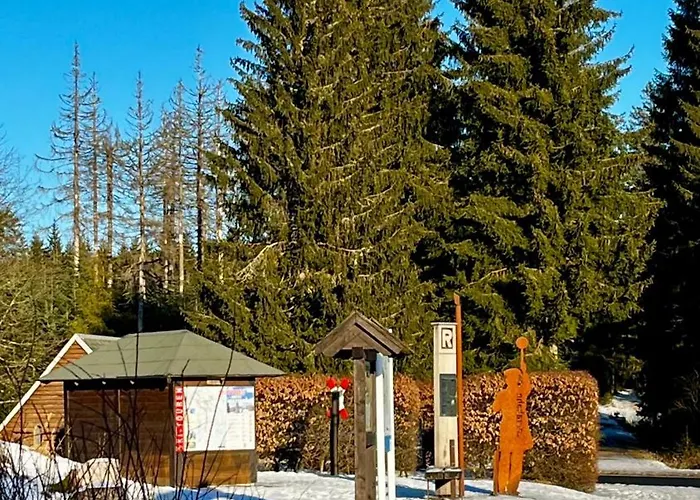 Apartment Gemütliches Wohnstudio Im Wald, Auf Dem Rennsteig Nähe Ilmenau