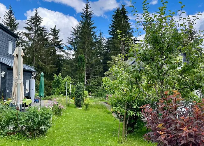 Gemütliches Wohnstudio Im Wald, Auf Dem Rennsteig Nähe * Ilmenau