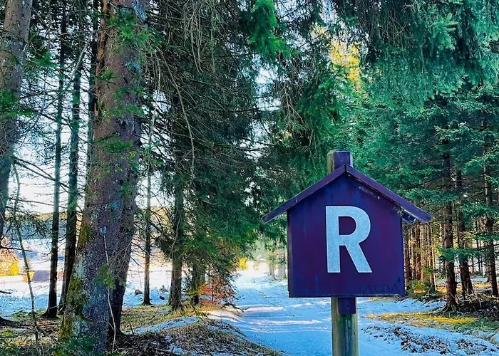 Apartment Gemütliches Wohnstudio Im Wald, Auf Dem Rennsteig Nähe