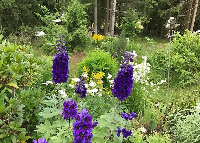 Gemütliches Wohnstudio Im Wald, Auf Dem Rennsteig Nähe *