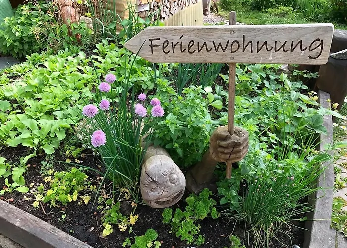 Gemütliches Wohnstudio Im Wald, Auf Dem Rennsteig Nähe Apartment