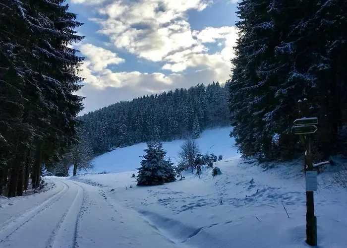 Gemütliches Wohnstudio Im Wald, Auf Dem Rennsteig Nähe Apartment Ilmenau