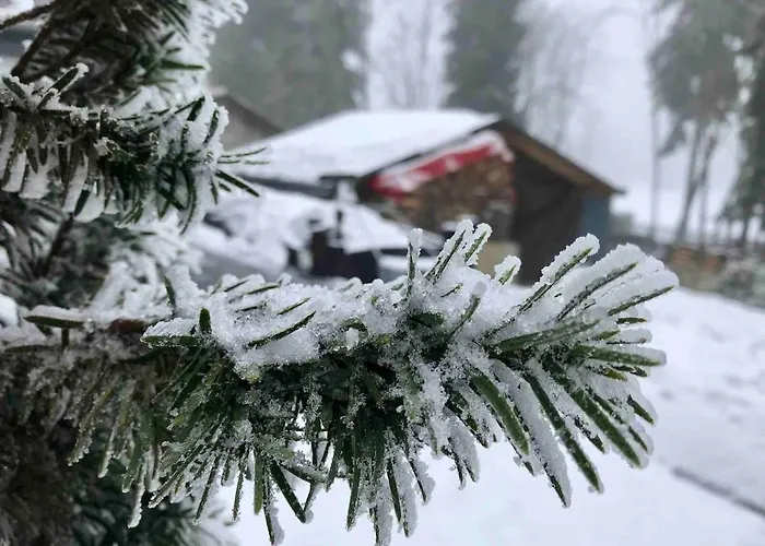 Gemütliches Wohnstudio Im Wald, Auf Dem Rennsteig Nähe