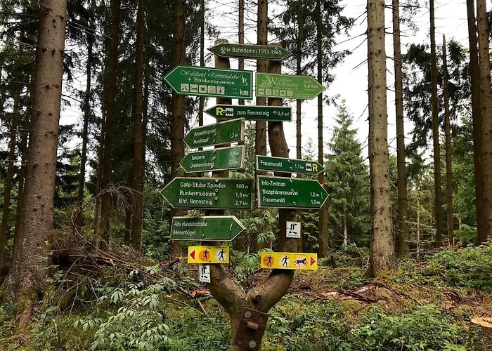 Apartment Gemütliches Wohnstudio Im Wald, Auf Dem Rennsteig Nähe