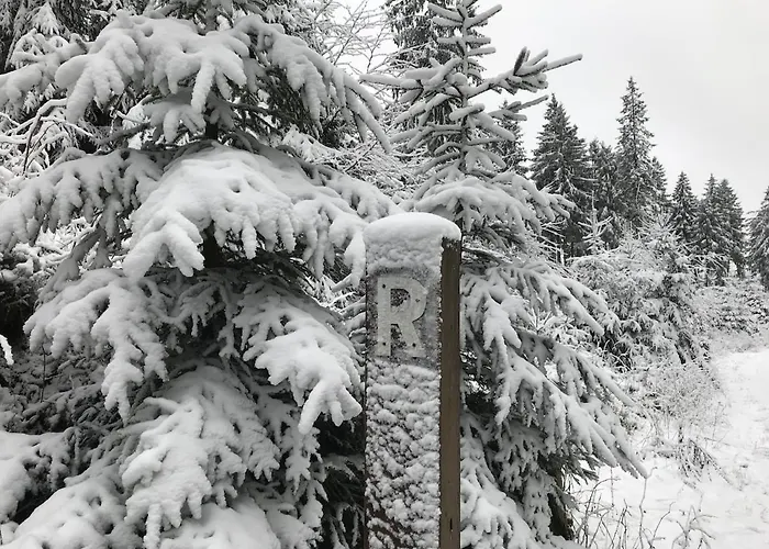 Gemütliches Wohnstudio Im Wald, Auf Dem Rennsteig Nähe Apartment Ilmenau